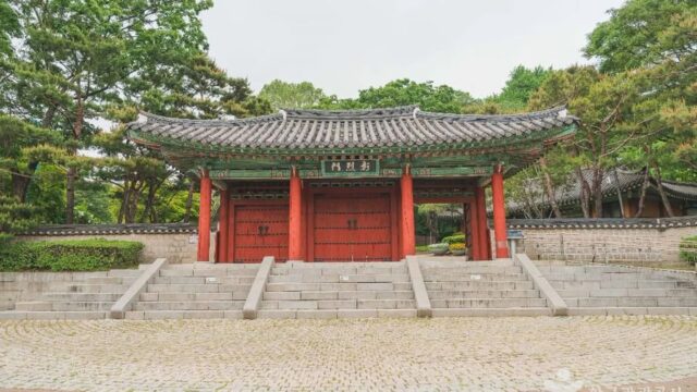 “서울 중심에 이런 공간이 있다니!”… 215,000㎡ 자연과 역사가 어우러진 효창공원