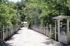 “200km 달려오니 별이 손에 닿는다니?”… 자연 품은 100개 텐트의 감동 명소