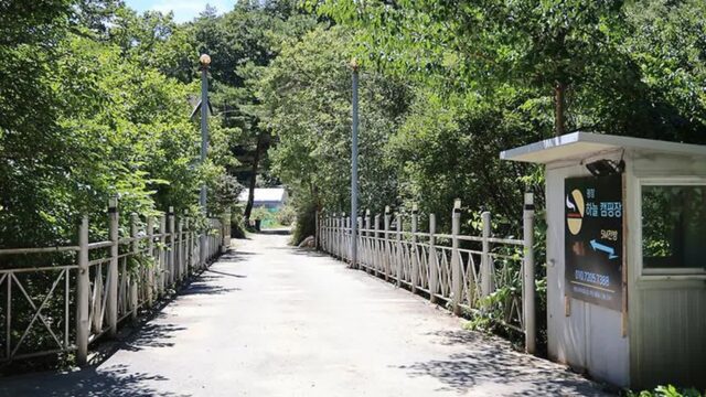 “200km 달려오니 별이 손에 닿는다니?”… 자연 품은 100개 텐트의 감동 명소