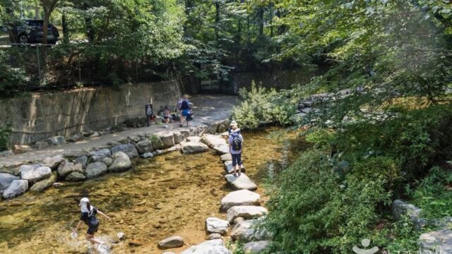 “신림역에서 단 15분 거리라고?”… 서울 도심 속 숨은 힐링 여행지