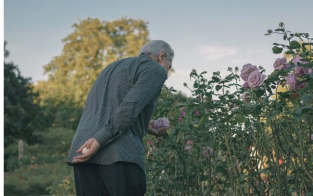 “자식도 보기 싫다..” 요즘 80대들이 인간관계 끊어버리는 진짜 이유