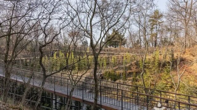 “5km 산책로 따라 이렇게 자연에 빠질 줄이야”… 도심 속 쉼터 대모산도시자연공원