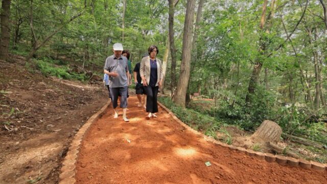 서울 옆 감성 나들이 ‘과천’…산행부터 아트투어·동물원까지