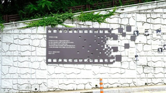 “서울 답십리, 영화의 거리라니!”… 길게 드리운 나무와 카페의 환상적 조화 여행지
