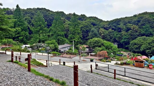 “고요한 숲에서 진짜 힐링하라고?”… 10만 평 대자연 속 다올 캠핑장 명소