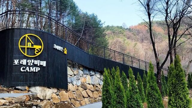 “수많은 별이 쏟아지는 30,000㎡ 캠핑지라니”… 자연과 하나 되는 영월 포레 앙비떼 명소