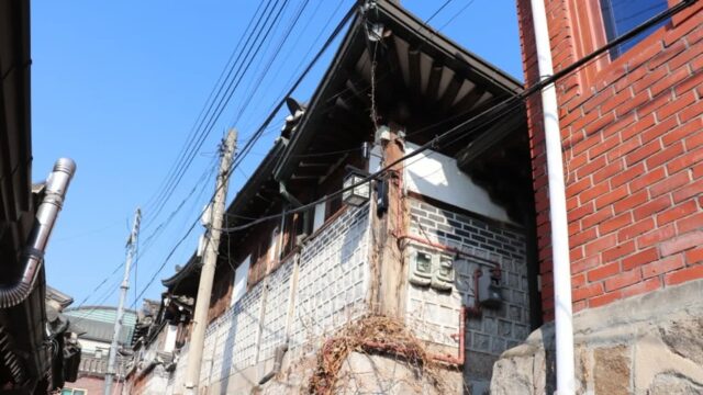 “대학로에 가면 이런 장관이?”… 서울 중심 20개 공연장 넘치는 예술 명소