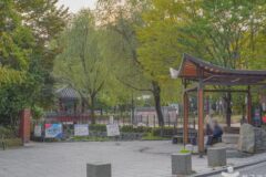 “1만 평 공원이 이렇게 도심에?”… 자연과 도시 조화의 서울 명소
