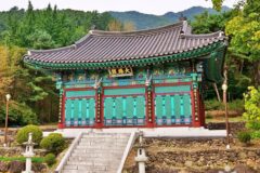 “보타사로 가는 5km 길이 이렇게 고요할 줄이야”… 마음의 평화 찾는 충북 명소