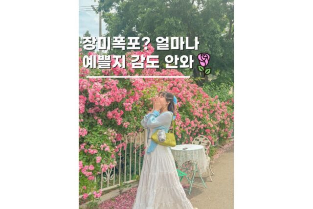 충남아산가볼만한곳 장미폭포가 있는 카페 플라워돔