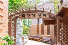 “서울 도심에 이런 곳이?”… 도보 15분 거리서 만나는 자연 명소