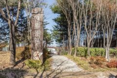 “도심 속 이렇게 넓은 공간이 있다고?”… 50,000㎡ 규모의 자연 품은 서울 마루공원