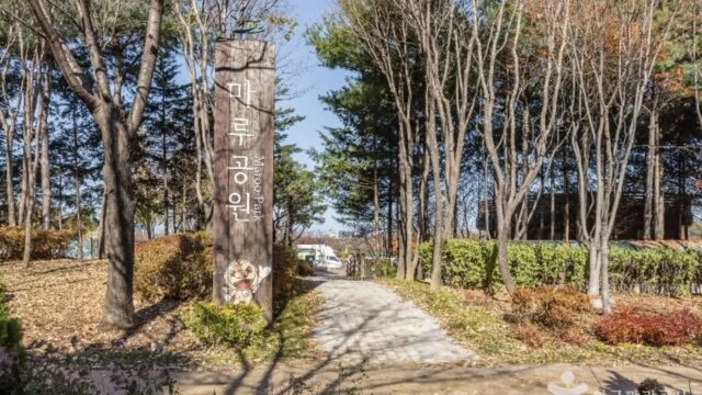 “도심 속 이렇게 넓은 공간이 있다고?”… 50,000㎡ 규모의 자연 품은 서울 마루공원