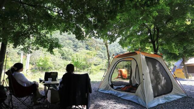 “도심에서 20km 떨어진 곳에 이런 힐링이?”… 별빛 가득한 캠핑 명소