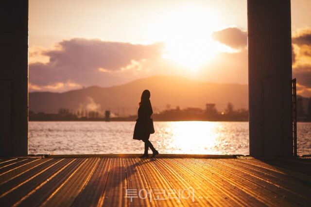 장미 보고 문보트 탄다…서울 근교 ‘김포’에서 즐기는 물길 여행