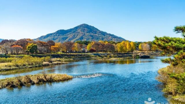 “면적 10,000㎡ 자연 속 놀라움이라니!”… 평화로운 강선대 명소