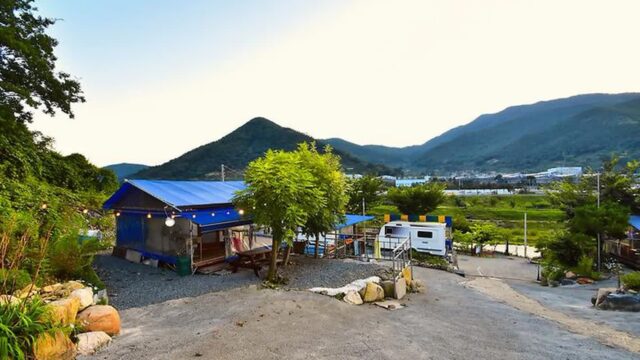 “청도텍사스 캠핑장, 자연 속 평화의 쉼터라니…”… 경북 청도 10만 평 초원 여행지