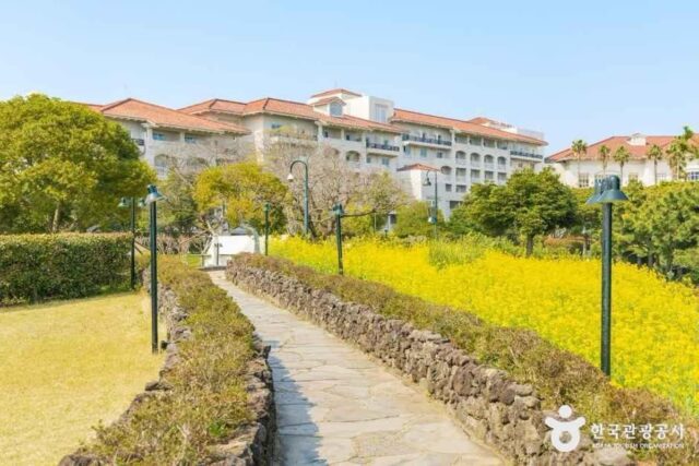 “1999년 제주 중문 해안 절경의 신화” 영화 속을 걷는 서귀포 산책로 추천