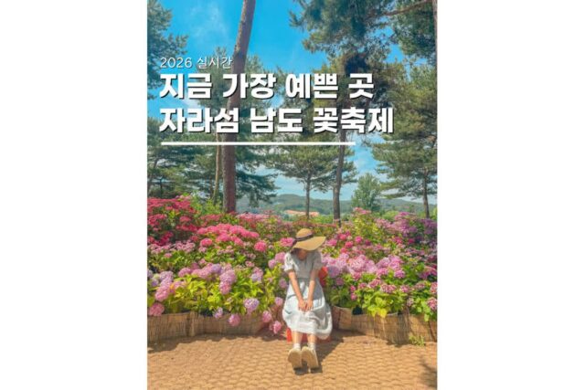 6월꽃축제 가평 자라섬남도꽃정원 2026 서울근교당일치기후기