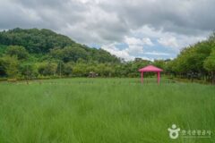 “도심에 이런 곳이 있었나”… 함안악양생태공원, 다시 보는 산책 명소