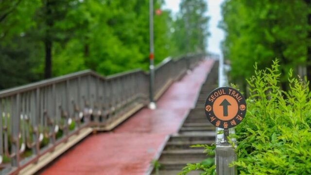 “8km 걸으니 이렇게 좋을 줄이야”… 도심 속 푸른 초원 여행지