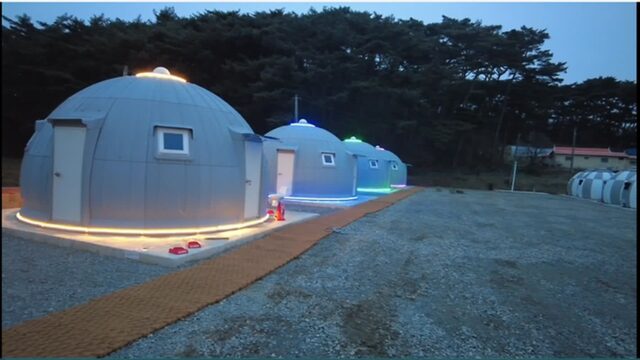 “10만 평의 자연 속에서 라니, 이런 평화로움이?”… 서울에서 2시간 30분 거리 힐링 명소