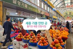 세종 가볼 만한 곳 활기찬 세종 전통시장