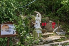 “서울 도심에 이렇게 고요한 곳이 있다고?”… 300년 역사 숨은 명소 대성사