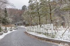 “5,000㎡ 자연 속에 이런 휴식이?”… 역사 담긴 서울 숨은 명소