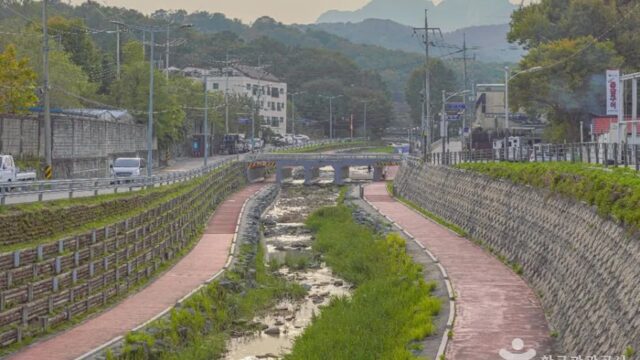 “서울 도심에서 30분 만에 이런 곳이?”… 무수골계곡의 청량한 여름 명소
