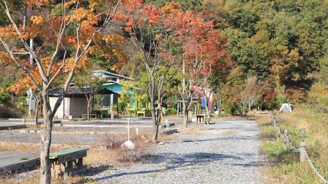“10,000㎡ 넓이라니? 진짜 특별한 자연과 역사 여행지”… 강원도 철원의 여울애꽃물들인