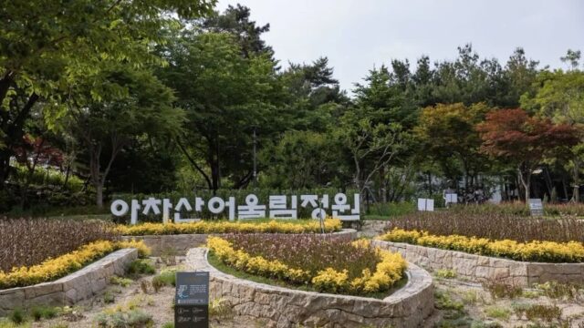 “아차산에 이런 곳이 있다고?”… 서울 중심에 숨은 5,000㎡ 자연 명소