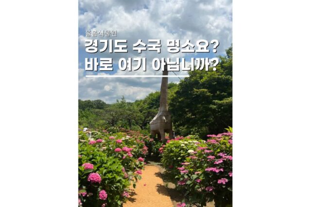 경기도수국명소 광주여행 가볼만한곳 율봄식물원 나들이