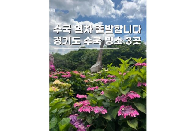 경기도 수국 명소 6월 꽃구경 서울 근교 가볼만한곳 TOP 3