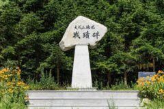 “10개의 소나무 숲길에서 역사를 느낍니다”… 이렇게 숙연한 전적비 명소