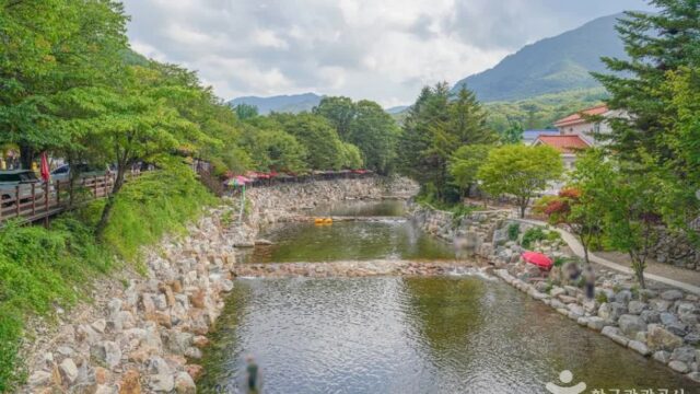 “30km 계곡길 이젠 다니 쉽게!”… 자연 그대로 담은 무주 구천동 명소