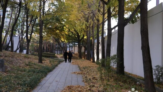 “이렇게 도심 속에서 이런 자연을 만끽할 수 있다니?”… 4계절 내내 새로운 매력 발산하는 훈련원공원