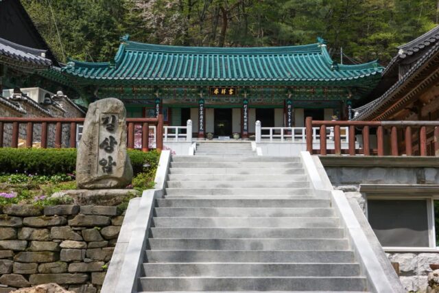 상암 축제 2026 여름, 싱그러운 초록이 가득한 명소 추천 5곳