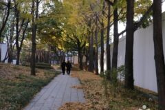 “이렇게 도심 속에서 이런 자연을 만끽할 수 있다니?”… 4계절 내내 새로운 매력 발산하는 훈련원공원