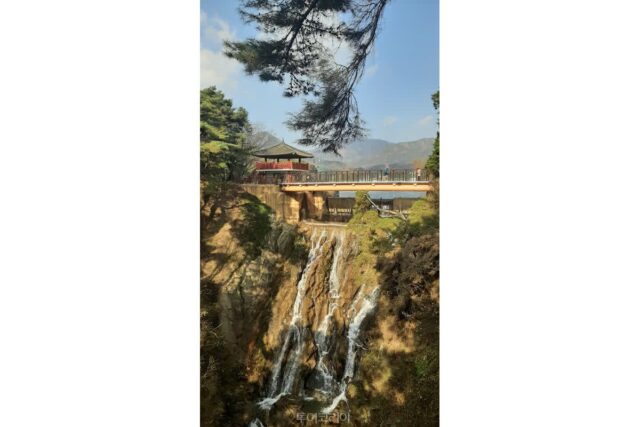 내륙의 바다 품은 충북 제천, 그 터에서 즐기는 낭만 기행