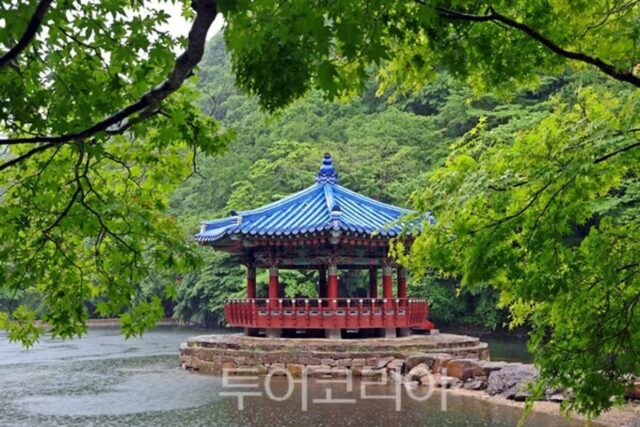 초여름 관광객 유혹하는 정읍 여행 명소