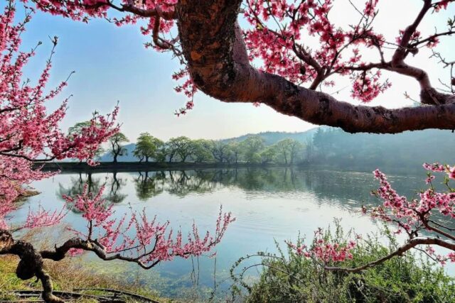 2026 경산시 갈만한곳, 활력 넘치는 여름 여행 완벽 가이드