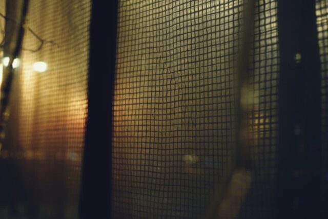 “모기 없는 집은 ‘이것’을 다르게 합니다” 여름밤에도 안 물리는 비결