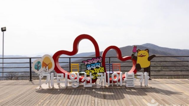 “하늘을 나는 360도 뷰 실화라고?”… 초록빛과 구름 사이로 떠나는 가리왕산케이블카 여행지