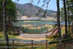 “계절 따라 매번 놀라운 변화를 보여준다니!”… 사계절 관찰 가능한 교동저수지 명소