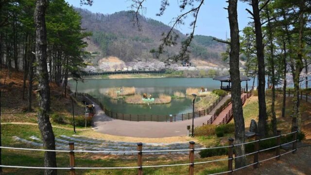 “계절 따라 매번 놀라운 변화를 보여준다니!”… 사계절 관찰 가능한 교동저수지 명소