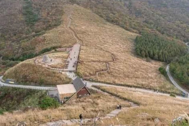 2026 거제바람의언덕 트레킹 코스 추천, 6월의 특별한 힐링 명소 5곳