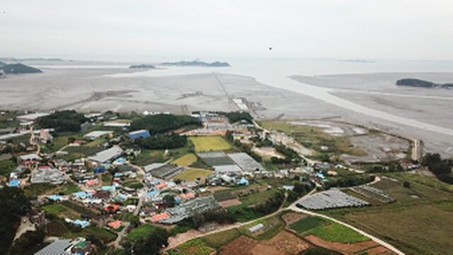 “도심에서 불과 10km 거리에 이런 곳이 있다고요?”… 새소리와 노을이 반기는 선감 캠핑장 여행지