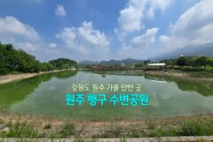 강원도 원주 가볼 만한 곳 | 원주 행구 수변공원