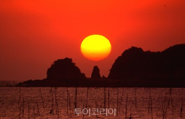 일출 보고 연꽃길 걷고, 관광택시로 당진 한 바퀴